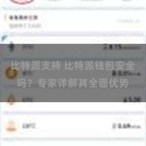 比特派支持 比特派钱包安全吗？专家详解其全面优势