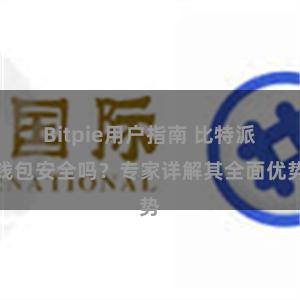 Bitpie用户指南 比特派钱包安全吗？专家详解其全面优势