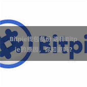 Bitpie钱包备份 选择Bitpie的原因，你知道吗？