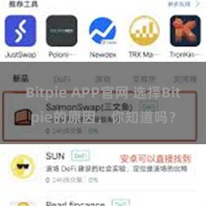 Bitpie APP官网 选择Bitpie的原因，你知道吗？