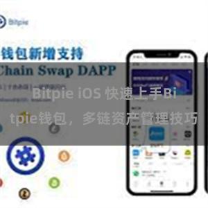 Bitpie iOS 快速上手Bitpie钱包，多链资产管理技巧