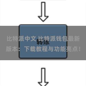 比特派中文 比特派钱包最新版本：下载教程与功能亮点！