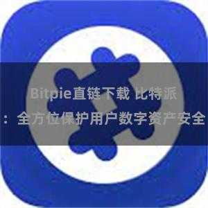 Bitpie直链下载 比特派：全方位保护用户数字资产安全