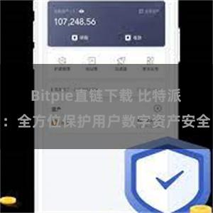 Bitpie直链下载 比特派：全方位保护用户数字资产安全