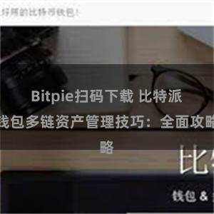 Bitpie扫码下载 比特派钱包多链资产管理技巧：全面攻略