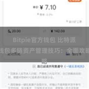 Bitpie官方钱包 比特派钱包多链资产管理技巧：全面攻略