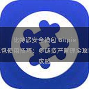 比特派安全钱包 Bitpie钱包使用技巧：多链资产管理全攻略