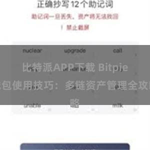 比特派APP下载 Bitpie钱包使用技巧：多链资产管理全攻略