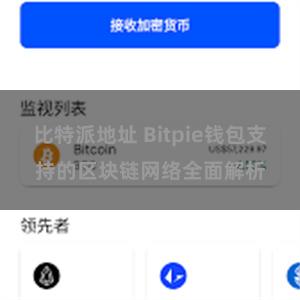 比特派地址 Bitpie钱包支持的区块链网络全面解析