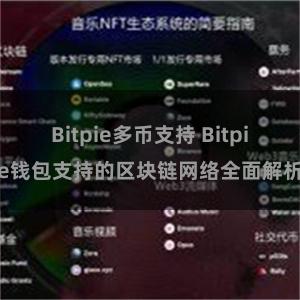 Bitpie多币支持 Bitpie钱包支持的区块链网络全面解析