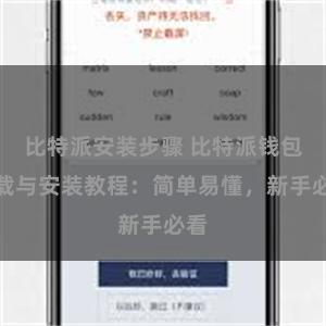 比特派安装步骤 比特派钱包下载与安装教程：简单易懂，新手必看