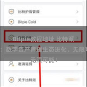 Bitpie教程地址 比特派钱包：数字资产管理生态进化，无限可能！