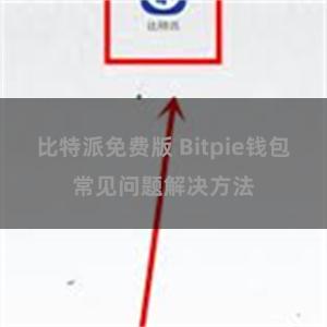 比特派免费版 Bitpie钱包常见问题解决方法