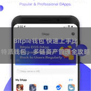 Bitpie钱包 快速上手比特派钱包，多链资产管理全攻略