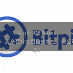 Bitpie iOS Bitpie钱包：资产百分之百自主掌控，安全可靠！