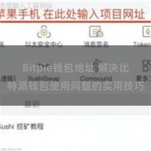 Bitpie钱包地址 解决比特派钱包使用问题的实用技巧