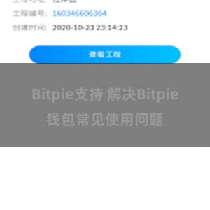 Bitpie支持 解决Bitpie钱包常见使用问题