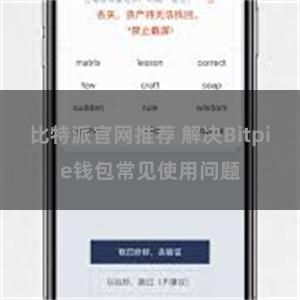 比特派官网推荐 解决Bitpie钱包常见使用问题