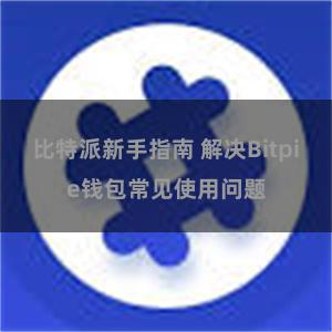 比特派新手指南 解决Bitpie钱包常见使用问题