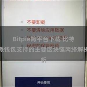 Bitpie跨平台下载 比特派钱包支持的主要区块链网络解析