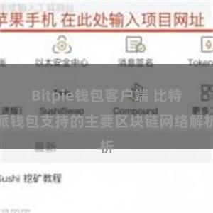 Bitpie钱包客户端 比特派钱包支持的主要区块链网络解析