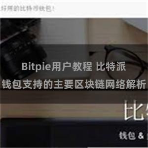 Bitpie用户教程 比特派钱包支持的主要区块链网络解析