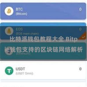 比特派钱包教程大全 Bitpie钱包支持的区块链网络解析