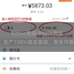 Bitpie教程 Bitpie钱包：资产100%自主掌控，安全可靠。