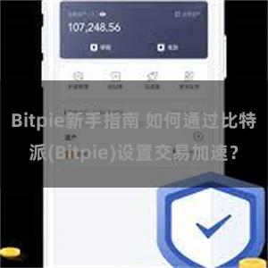 Bitpie新手指南 如何通过比特派(Bitpie)设置交易加速？