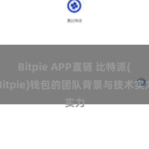 Bitpie APP直链 比特派(Bitpie)钱包的团队背景与技术实力