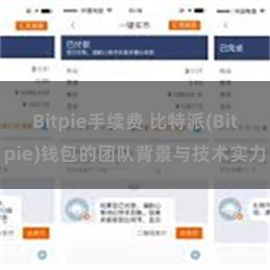 Bitpie手续费 比特派(Bitpie)钱包的团队背景与技术实力