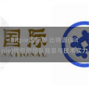 Bitpie国际版 比特派(Bitpie)钱包的团队背景与技术实力