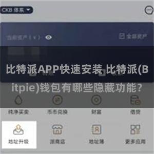 比特派APP快速安装 比特派(Bitpie)钱包有哪些隐藏功能？