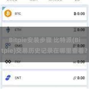 Bitpie安装步骤 比特派(Bitpie)交易历史记录在哪里查看？