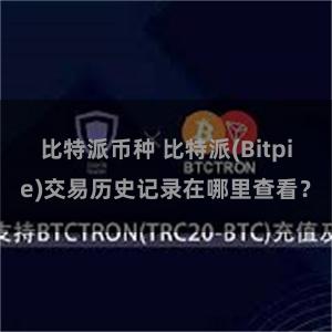 比特派币种 比特派(Bitpie)交易历史记录在哪里查看？