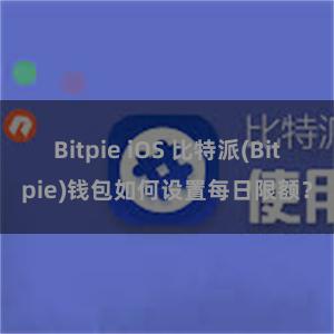 Bitpie iOS 比特派(Bitpie)钱包如何设置每日限额？